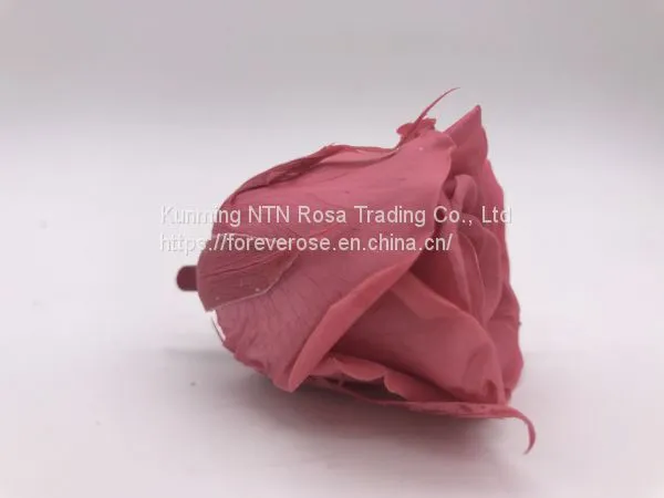 Preserved Fresh Flower Home Decoration Wedding Gifts photo-3