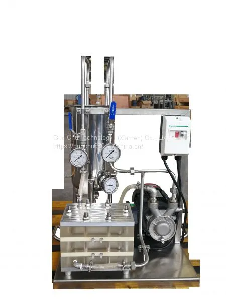 membrane test system