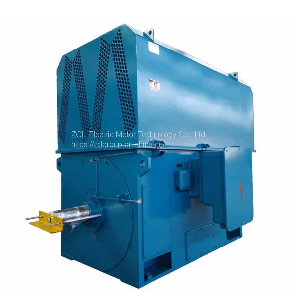 High Voltage Squirrel Cage Induction Motor photo-3