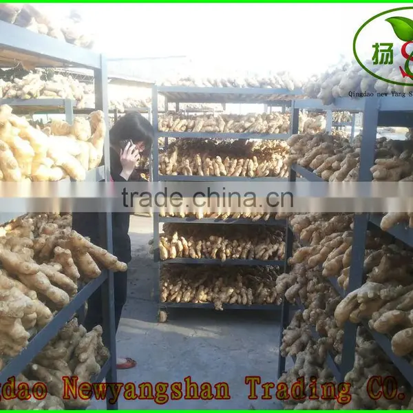 Prices Of Ginger Dried And Ginger Fresh photo-3