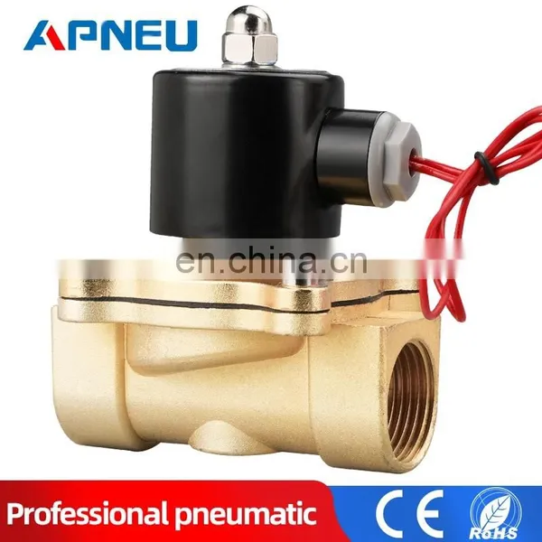 Valves Water Solenoid Valve for Water Pneumatic Valve 220V 12V DN08 DN10 DN15 DN20 DN25 1/4
