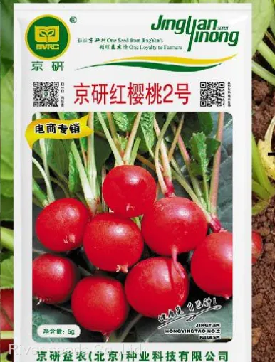 High Sprouting 5g Red Radish Seeds Supplier Chinese Vegetable f1 Hybrid Radish Seed for Planting photo-2