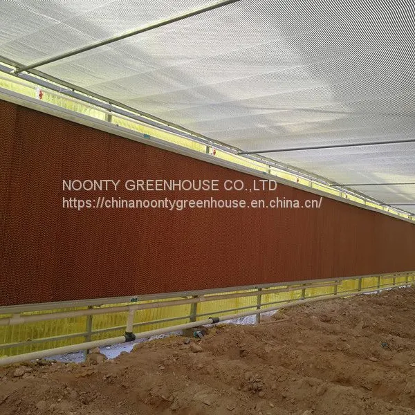 Economical Commercial Polycarbonate Sheet Greenhouse photo-2