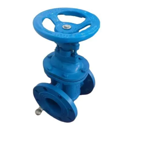 Hot Sale Factory Price DIN F4 Hard Seal Non-rising Stem Gate Valve Manual Cast Iron Flange Metal Seat Gate Valve photo-6