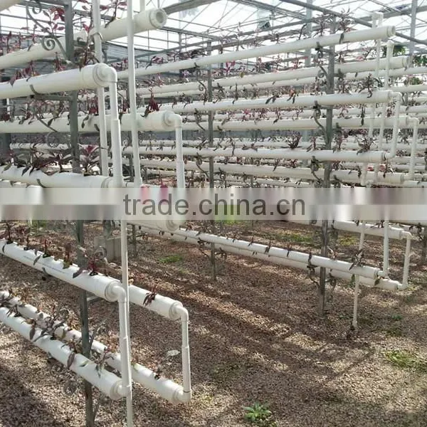 12M Wide Span Greenhouse photo-4