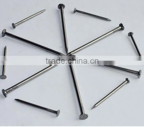 Q195 Polishing 2.cm--12cm Common Nail photo-5