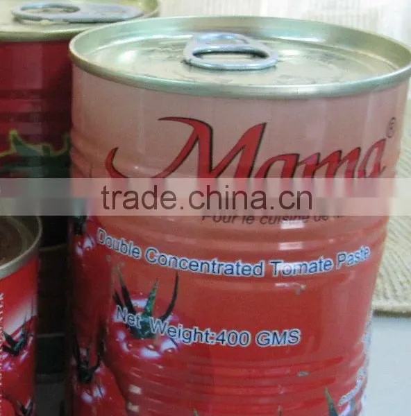 Canned Tomato Paste or Ketchup for Everywhere
