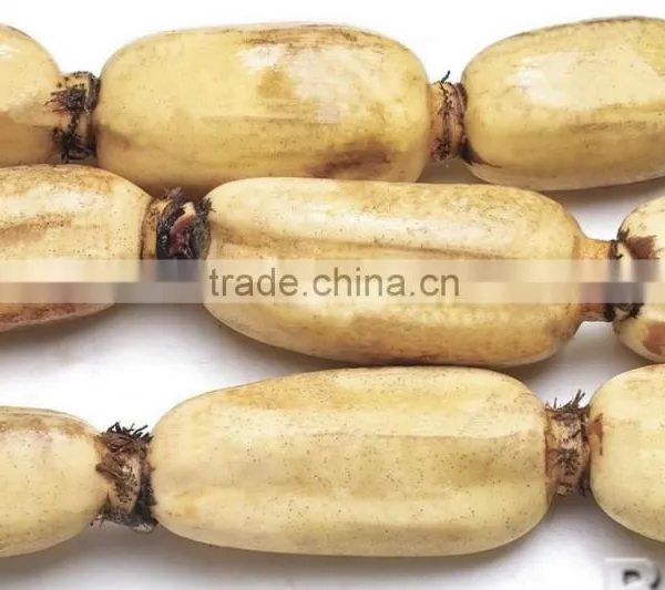 FRESH LOTUS ROOT WITH BEST PRICE AND GOOD QUANLITY photo-2