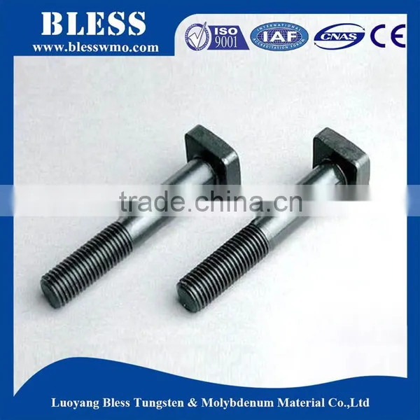 Supplier Tungsten and Molybdenum Internal Thread Screw photo-3