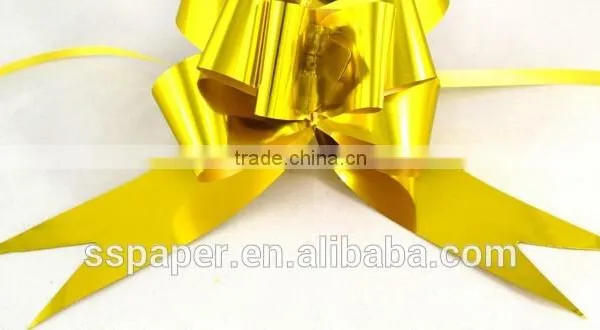 2016 Hotsale Product With Stock Silk Plastic Ribbon for Retailer photo-5