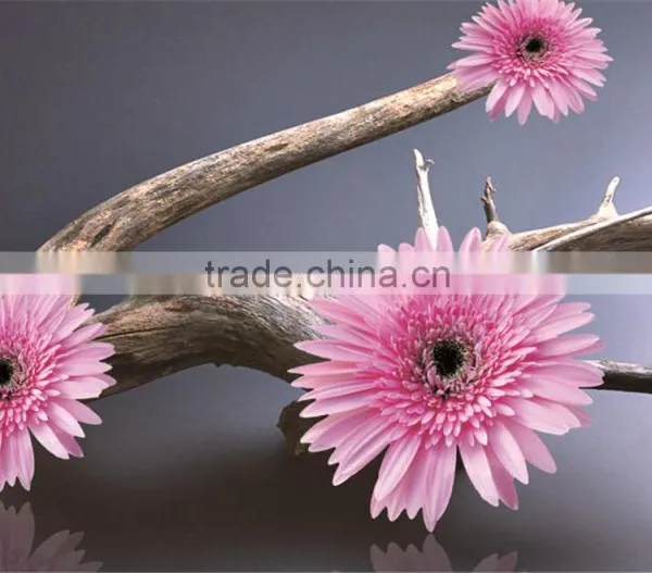 Beautiful Flower Design Colorful UV-print Clear Table Mat photo-2