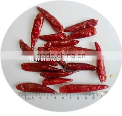 Dry Red New Generation Chili photo-2