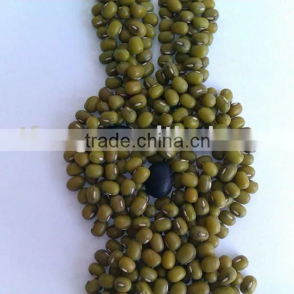 Green Mung Bean/mung Bean
