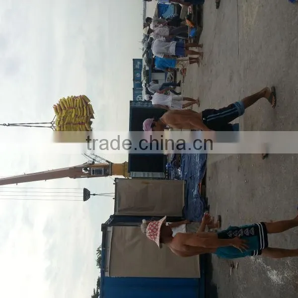 Vietnam Calrose Rice 5% Broken photo-5