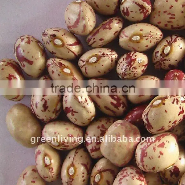 Light Speckled Kidney Beans
