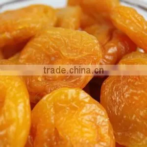 Top Quality Dried Apricot Kernel