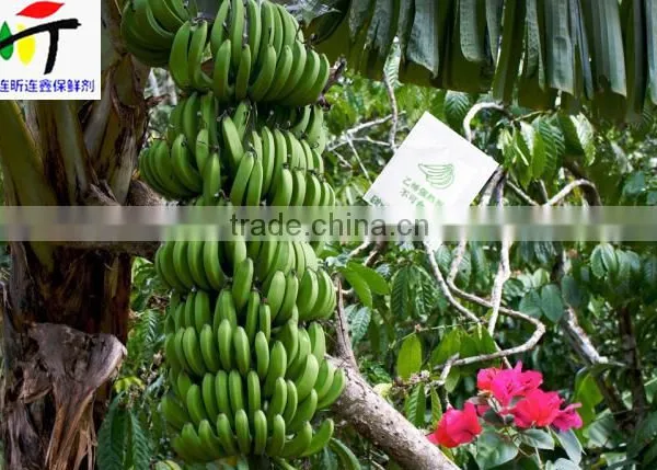Direct Factory Price the Good Quality Ethylene Ripener for Banana(2) photo-3