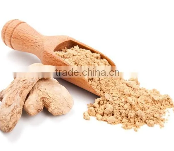 Ginger Ground photo-2