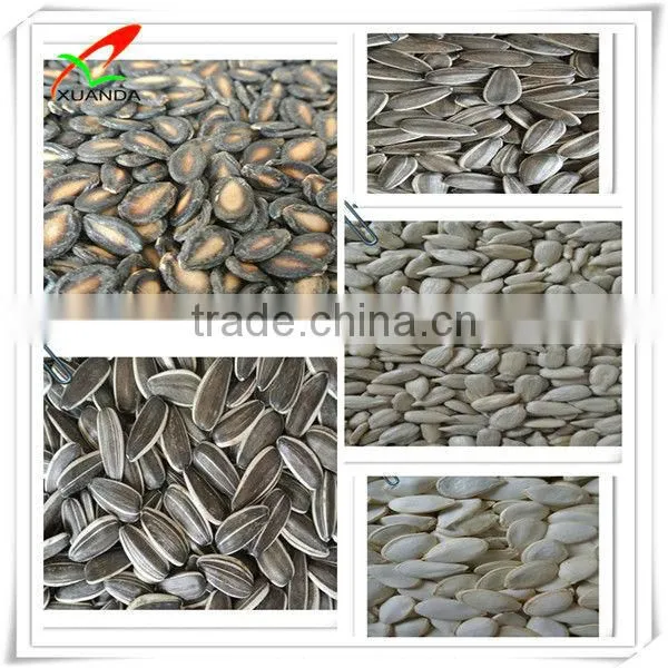 Provide Black Watermelon Seeds Hot Sale New Crop photo-3