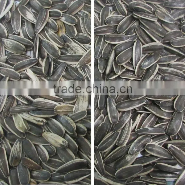 Mainly Part Imported Sunflower Seeds Color Sorter Machine photo-6