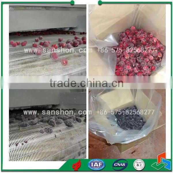 China Broccoli IQF Tunnel Industrial Freezer photo-3
