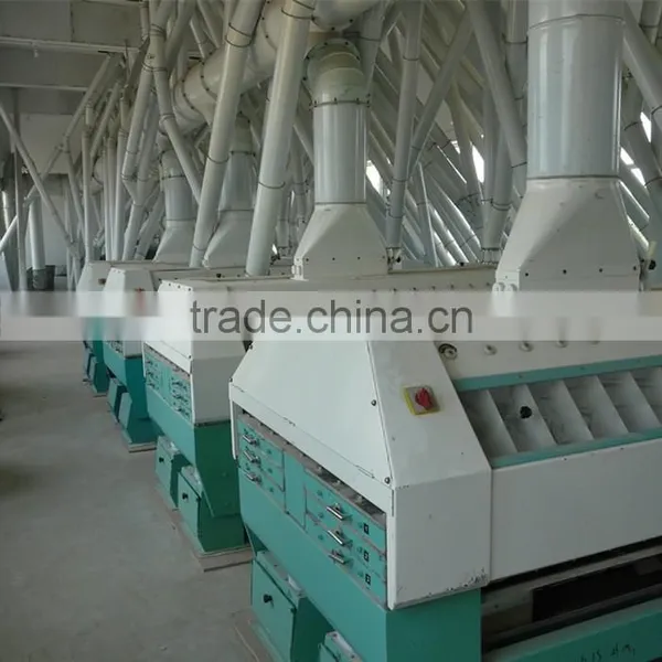 High Quaility Automatic Machines Wheat Flour Milling Plant for TPD500 photo-3