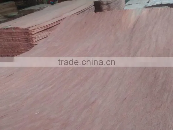 Linyi Factory Rotary Cut Grade a b c 0.30mm 4'x8' Bintangor Face Veneer photo-4