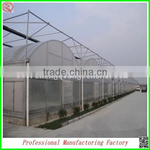 Plastic Film Commercial Greenhouses for Sale With Arched Type