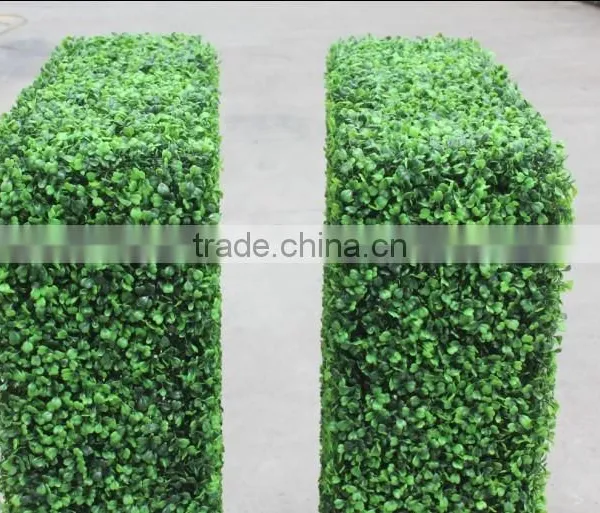 CHY040819 Home Artificial Hedge, Garden Golden Grass Hedge Suppliers photo-5