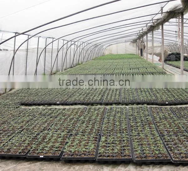 OEM Design Thermoformed Agricultural Plastic Pallets photo-3
