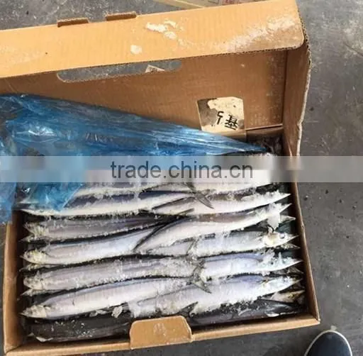 Frozen Pacific Saury Fish photo-2