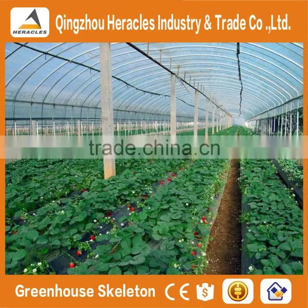 Heracles Trade Saaurance Good Quality uv Plastic Poly Tunnel Greenhouse for Sale photo-5