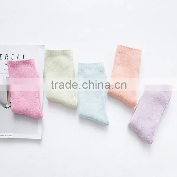 Zm53123a New Products Simple Design Fancy Cotton Women Socks Wholesale photo-3