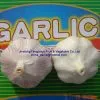 New Crop Garlic photo-3