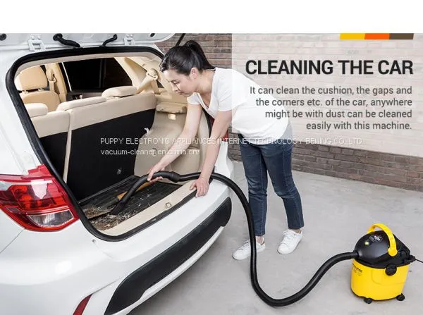 Puppyoo 2017 Lightweight Wet-dry Outdoor Drum Vacuum Cleaner 800W, 10L
