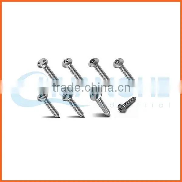 China Supplier Cheap Anti-theft Screw photo-4