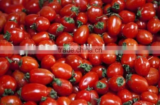 Vegetable and Fruit Sorting Machine photo-5