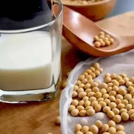 Fresh Milk Production Line Nut Milk Processing Line