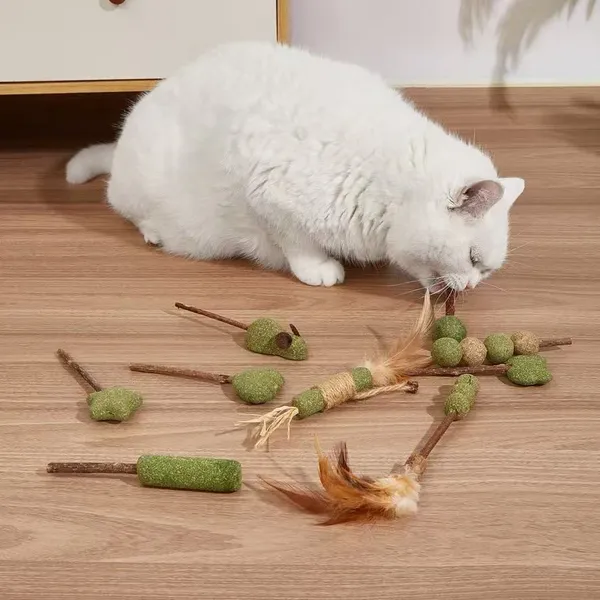 Catnip and Silver Vine Cat Toys for Indoor Cats, Catnip Lollipop Cat Toy Compressed Nepeta Cataria Cats