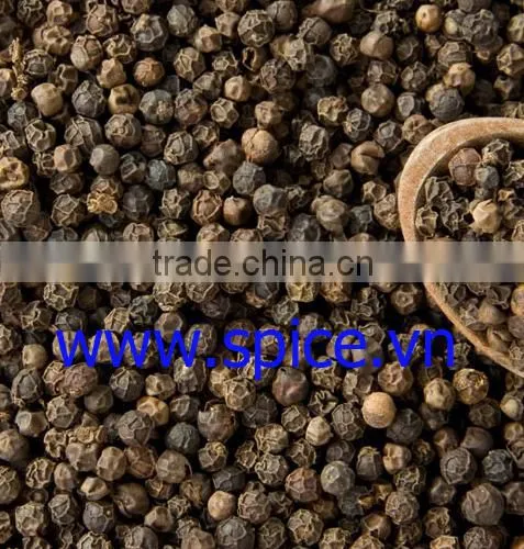 Black Pepper 500 Gr/L; 550 Gr/L