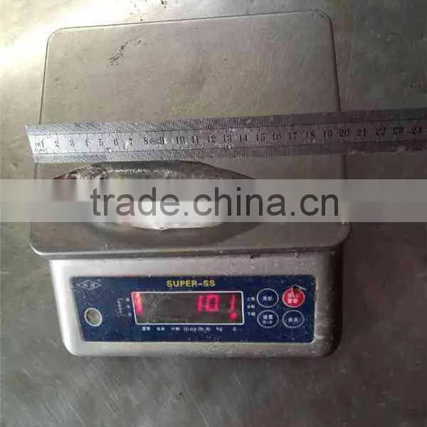 Frozen Fish Horse Mackerel Frozen photo-5