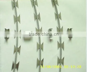 Cheap Galvanized Razor Wire Razor Barbed Wire BTO-22 30 CBT-60 65 photo-5
