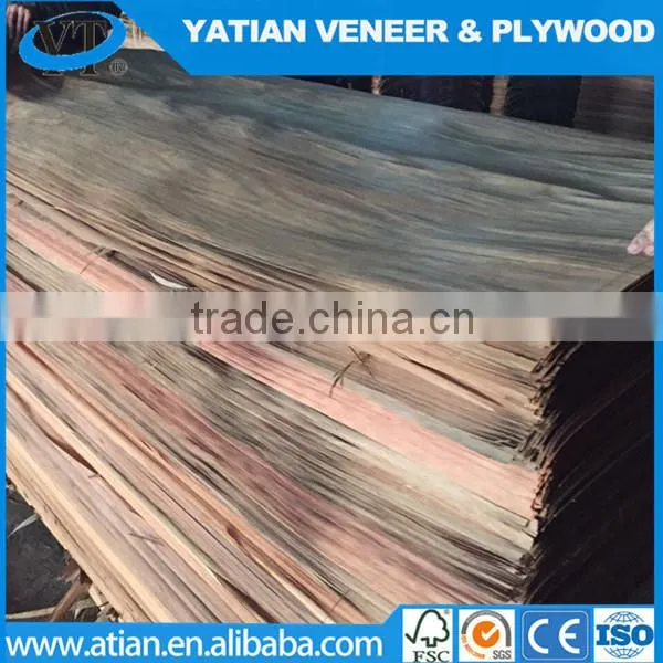 Rotary Cut 0.2-0.3mm Plywood Face Water Gum Veneer photo-4