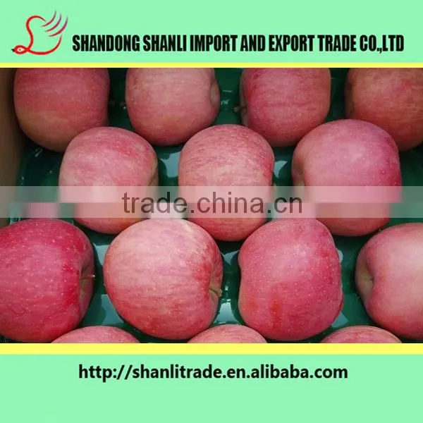 100/113/125# Fresh Organic Fruits Red Fuji Apples Fresh Fuji Wholesale Apples photo-2