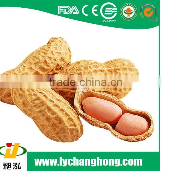2014 New Raw Peanut in Shell Size 11/13 With High Quality