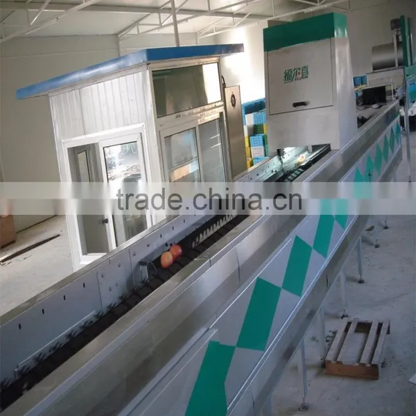 Sorter Type Strawberry Sorting Machine photo-5