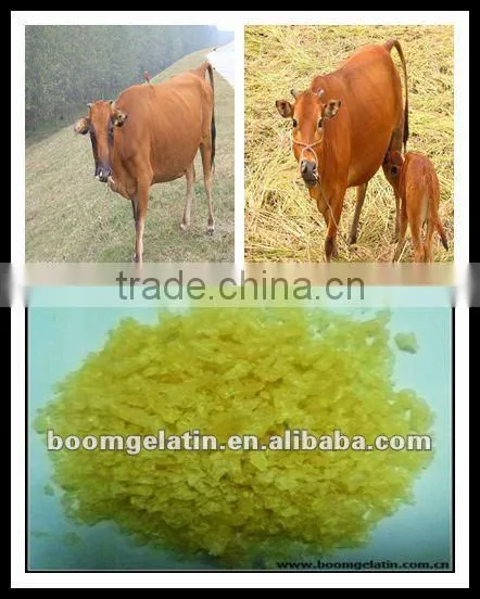 High Quality Industrial Beef Glue Gelatin