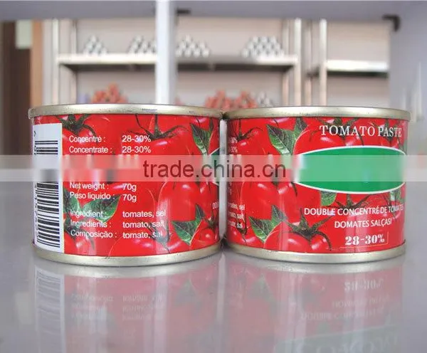 Pure Canned Tomato Paste in Printing 800gram, 210gram, 70gram, 400gram photo-5