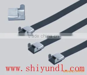 SS304 Metal Ball Stainless Steel Cable Ties Steel Band Pvc Coated