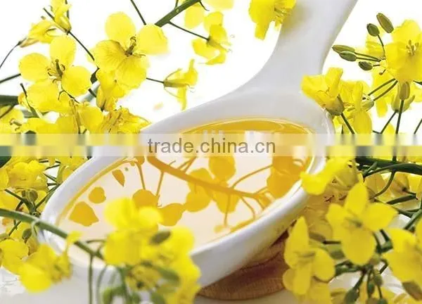 Wholesale Prices Export Crude Rapeseed Oil photo-2